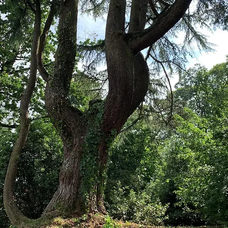 Hotel Le Chateau Des Forges