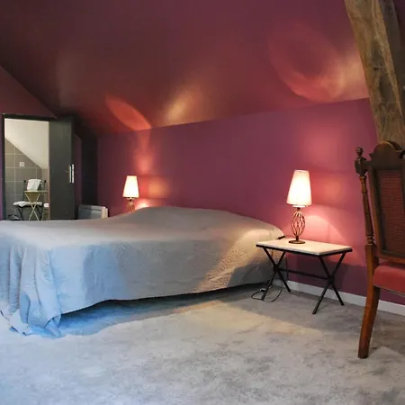 Le Chateau Des Forges 3* 앙제