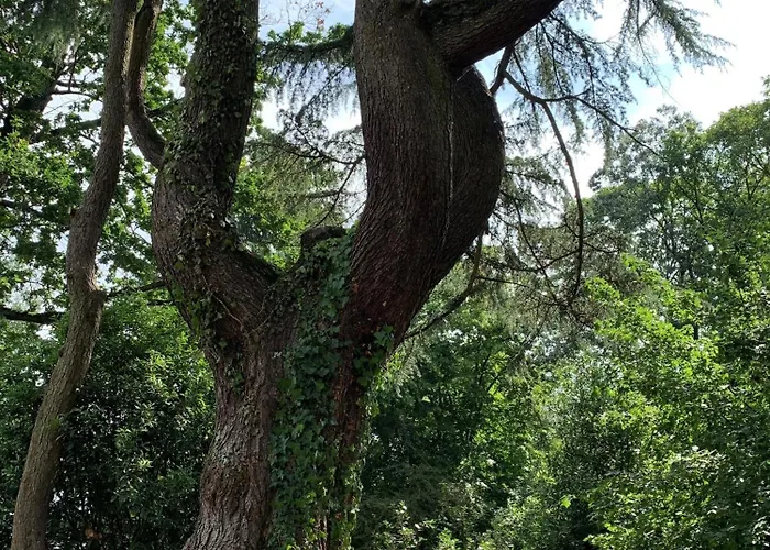 Otel Le Chateau Des Forges