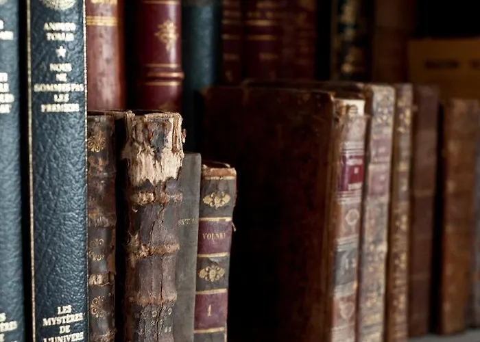 Le Chateau Des Forges 3* Angers