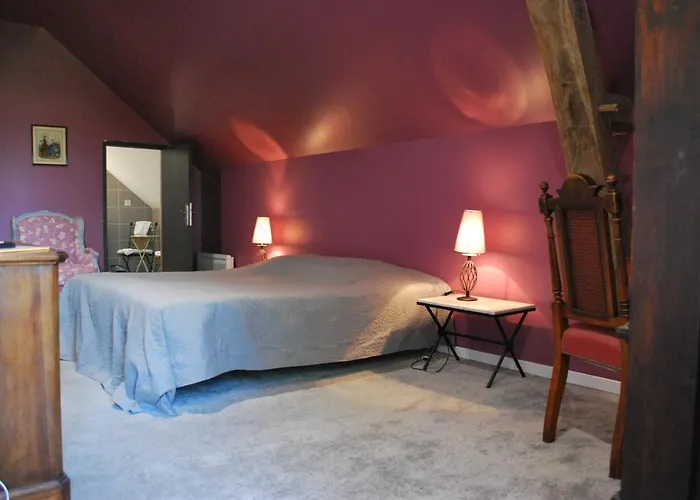 Le Chateau Des Forges 3* Angers